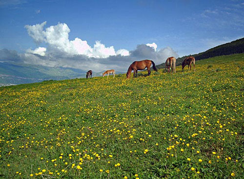 Дагестан. Фото "Кавказского Узла"