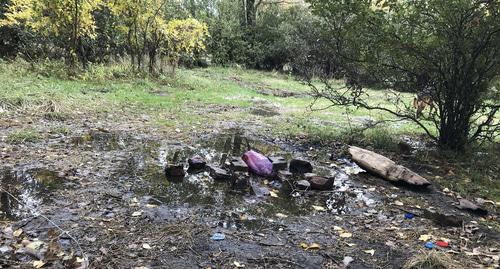 Мусор в Эльтавском лесу. Фото Патимат Махмудовой для "Кавказского узла"