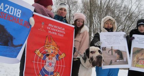 Пикет в защиту бездомных животных в Ростове-на-Дону. 24 февраля 2018 года. Фото Константина Волгина для "Кавказского узла"