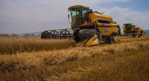 уборка урожая. Фото FB / Ministry of Agriculture of Georgia