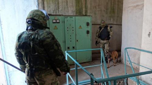 Сотрудники полиции со служебной собакой. Фото: пресс-служба главного управления МВД по Дагестану https://05.мвд.рф