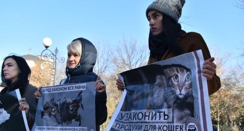 Участники зоозащитного пикета в Ростове-на-Дону. Фото Константина Волгина для "Кавказского узла"