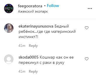 Скриншот со страницы feegooratora в Instagram https://www.instagram.com/p/CDyRf5fiHeo/