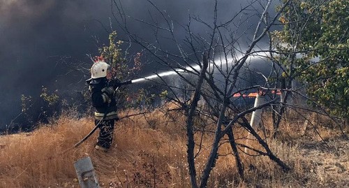 Степной пожар в Волгоградской области. Фото: пресс-служба МЧС России https://34.mchs.gov.ru/