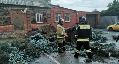 Сотрудники МЧС занимаются ликвидацией последствий урагана в Северной Осетии. Фото: пресс-служба главного управления МЧС России по Северной Осетии https://15.mchs.gov.ru/deyatelnost/press-centr/novosti/4764074