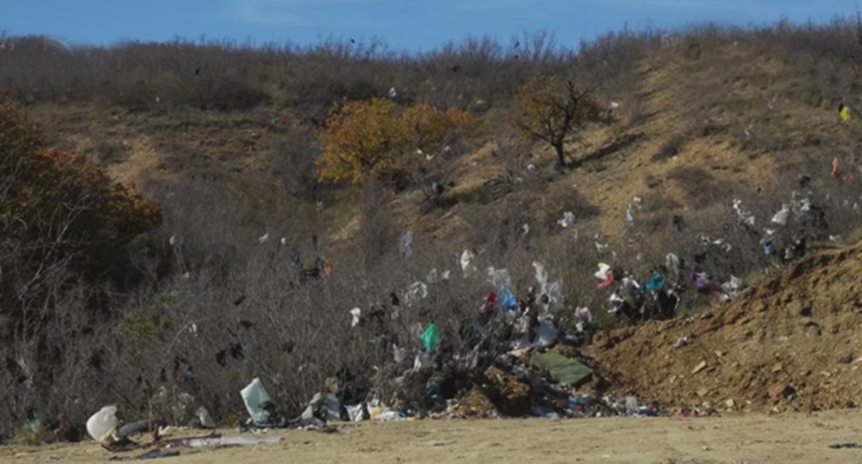 Мусорная свалка в Буйнакском районе. Скриншот видео https://dagestan-news.net/other/2024/11/06/124692.html