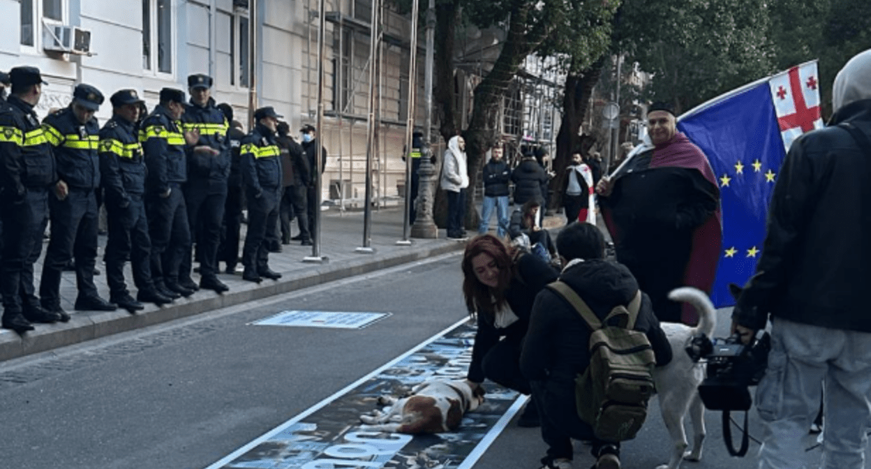 Силовики и протестующие у здания Конституционного суда. Скриншот фото Tbilisi Life от 12.01.25, https://t.me/Tbilisi_life/35741