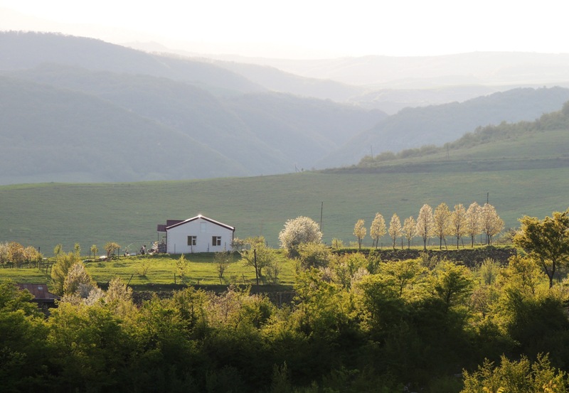 Фото ассорти.