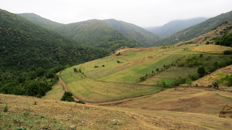 Горы, леса, поля за селом.