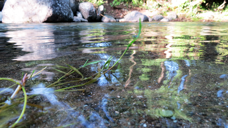 Звуки природы, шум воды - 12. 